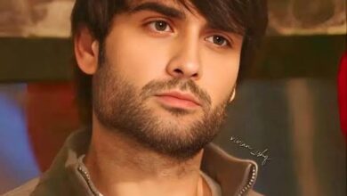 Vivian Dsena Biography